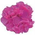 Afbeelding van Geranium Hang P12 Double Royal bleu
